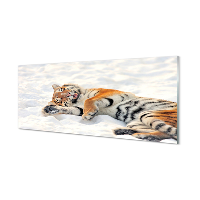 Nástenný panel  Tiger winter