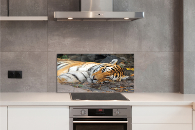 Nástenný panel  ležiace tiger