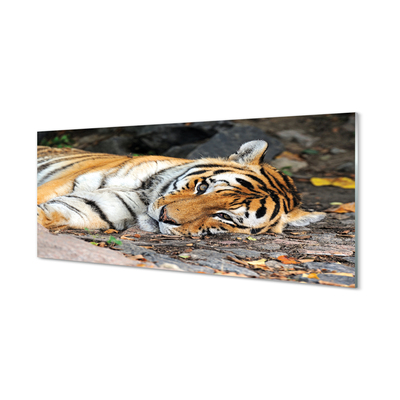 Nástenný panel  ležiace tiger