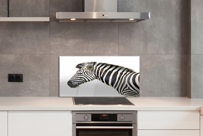 Nástenný panel  zebra