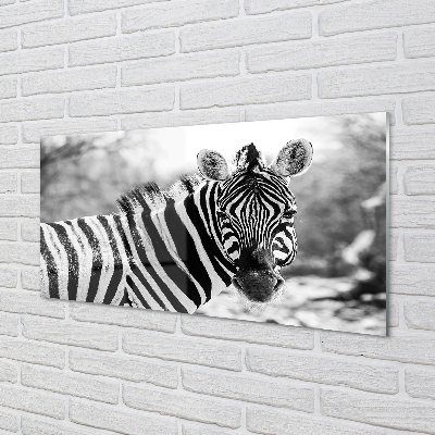 Nástenný panel  retro zebra