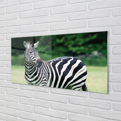 Nástenný panel  Zebra box