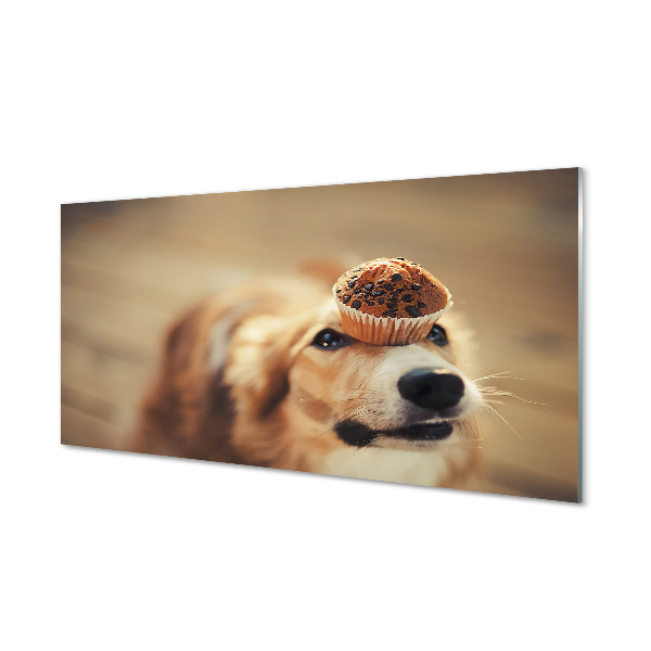 Nástenný panel  dog bun
