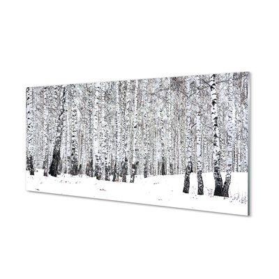 Nástenný panel  zimný brezy