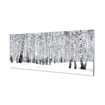 Nástenný panel  zimný brezy