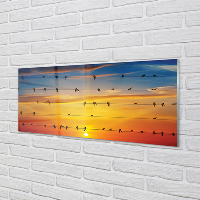 Nástenný panel  Vtáky na lanách západu slnka