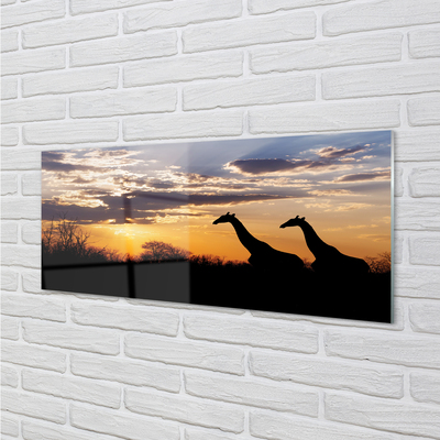 Nástenný panel  Žirafy strom mraky