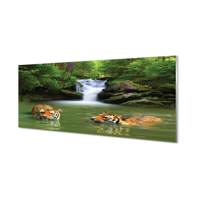 Nástenný panel  vodopád tigre