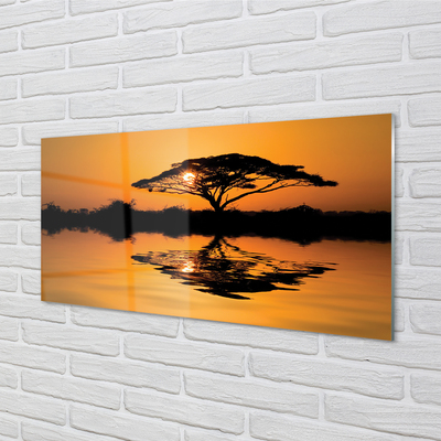 Nástenný panel  Sunset tree