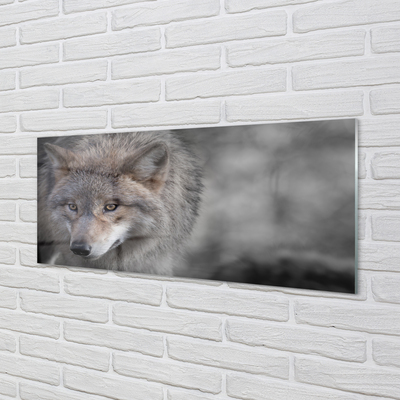 Nástenný panel  vlk
