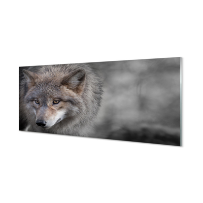 Nástenný panel  vlk