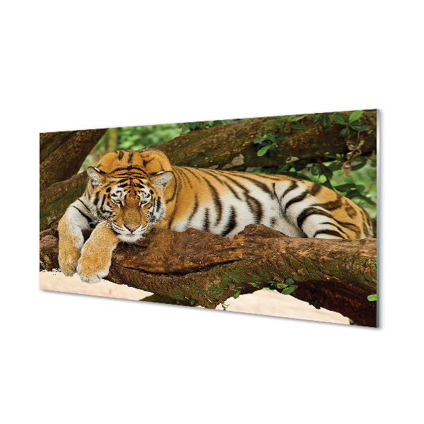 Nástenný panel  tiger tree