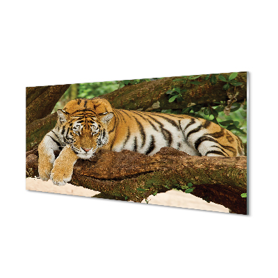 Nástenný panel  tiger tree