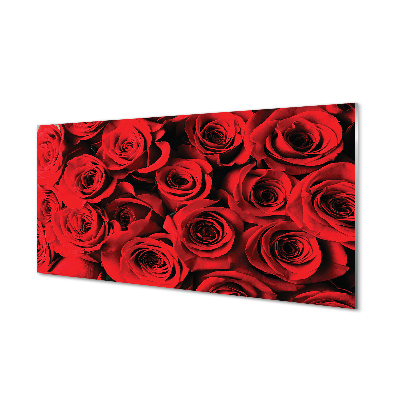 Nástenný panel  ruže