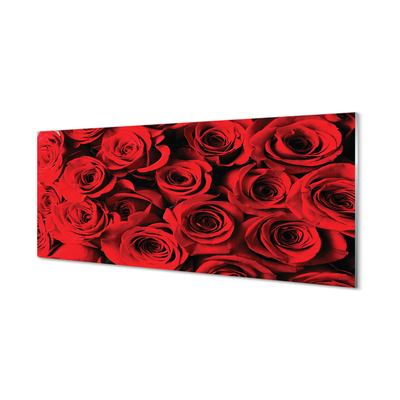 Nástenný panel  ruže