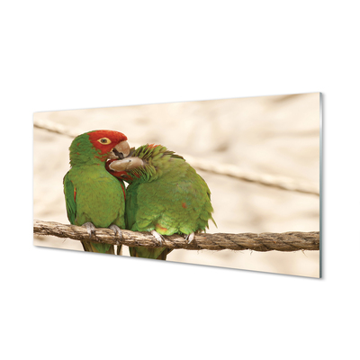Nástenný panel  zelené papagáje