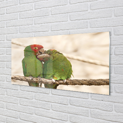 Nástenný panel  zelené papagáje