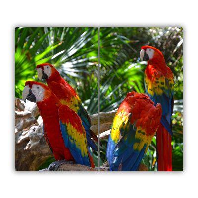 Sklenená doska na krájanie Papagáje papagájov