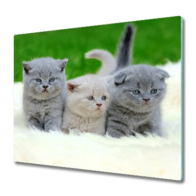 Sklenená doska na krájanie Tri mačky na deku