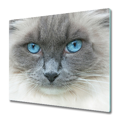 Sklenená doska na krájanie Mačka s modrými očami