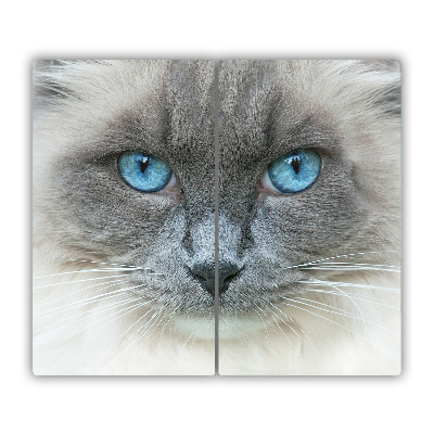 Sklenená doska na krájanie Mačka s modrými očami