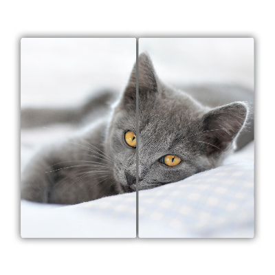 Sklenená doska na krájanie Sivá mačka
