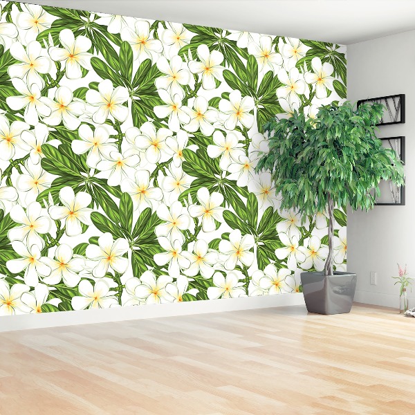 Fototapeta Plumeria kvety