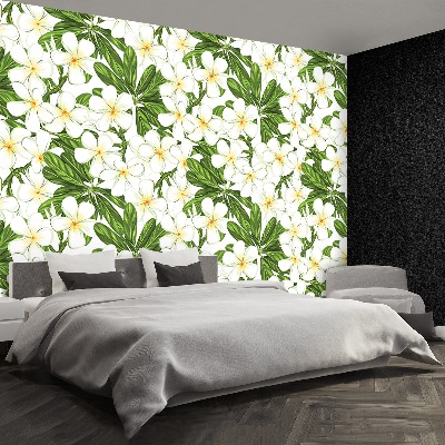 Fototapeta Plumeria kvety