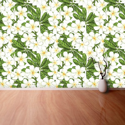 Fototapeta Plumeria kvety