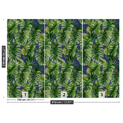 Fototapeta Tropické monstera