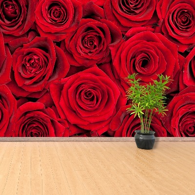 Fototapeta Červené ruže