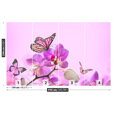 Fototapeta Orchid motýľ