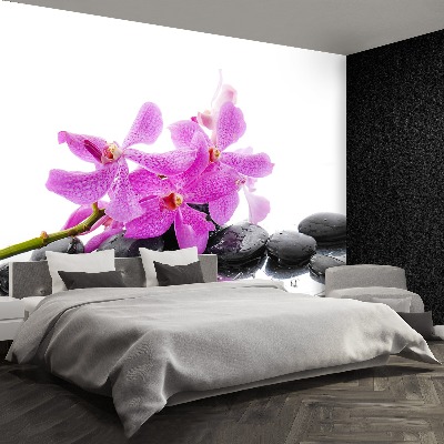 Fototapeta Ružová orchidea