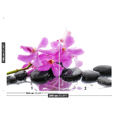 Fototapeta Ružová orchidea