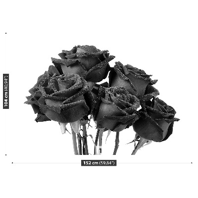 Fototapeta Čierne ruže