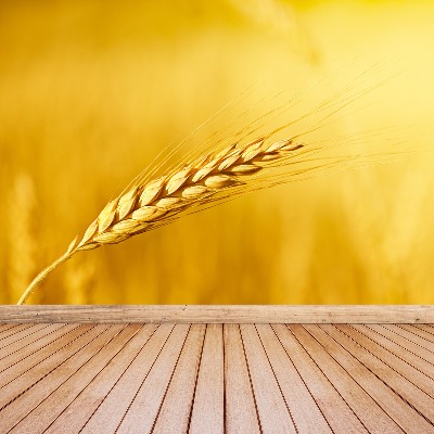 Fototapeta Klas pšenice