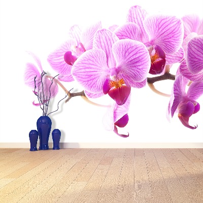 Fototapeta Ružová orchidea