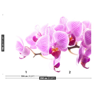 Fototapeta Ružová orchidea