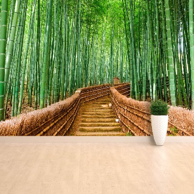 Fototapeta Bambusové lesy