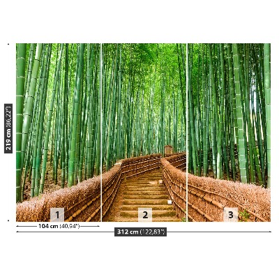 Fototapeta Bambusové lesy