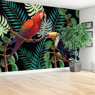 Fototapeta Ara toucan