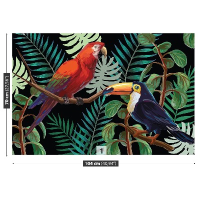 Fototapeta Ara toucan