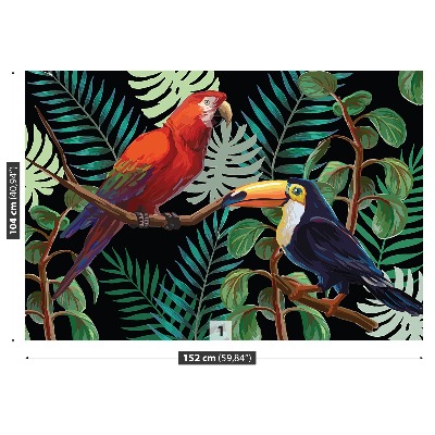 Fototapeta Ara toucan