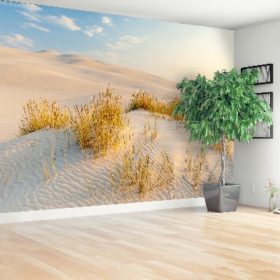 Fototapeta Bunesk dunes