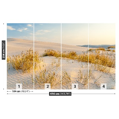 Fototapeta Bunesk dunes