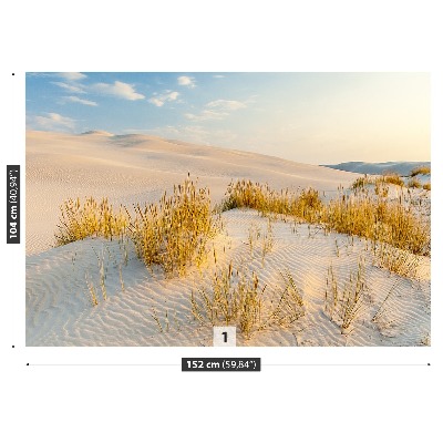 Fototapeta Bunesk dunes