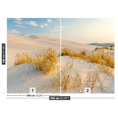 Fototapeta Bunesk dunes