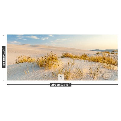 Fototapeta Bunesk dunes