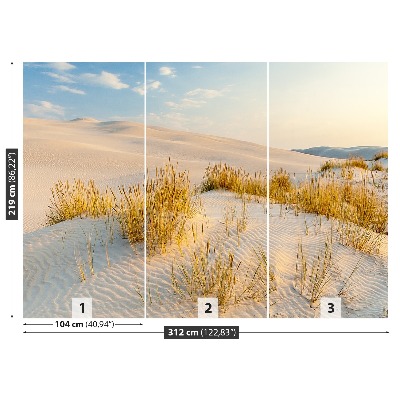 Fototapeta Bunesk dunes