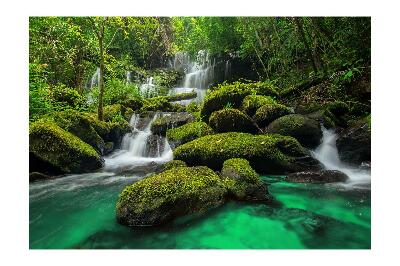 Fototapeta Vodopád v džungli